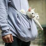 Katten trui, Kangaroe trui met vak voor kat, hoody kitten, Animaux & Accessoires, Paniers pour chats