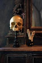 Beeld, FREE SHIPPING EU MAINLAND - Stunning human skull no, Antiek en Kunst