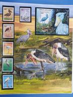 Thème des oiseaux  - Collection de timbres Birdlife en album