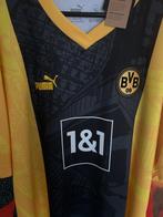 Borussia Dortmund BVB - Championnat dAllemagne de Football, Nieuw