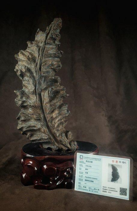 Nha Trang Agarwood 1,8 kg! - Vietnam (Zonder minimumprijs), Antiquités & Art, Art | Art non-occidental