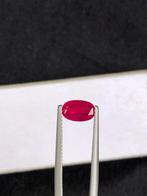 Zonder Minimumprijs - 1 pcs Rood Robijn - 1.49 ct -, Nieuw