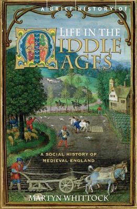 A Brief History of Life in the Middle Ages 9781845296858, Boeken, Taal | Engels, Gelezen, Verzenden