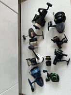 Ornement décoratif (8) - Bam 600 , Rongine enz - Divers -