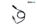 Lambda Sonde BMW R 1100 S Boxercup 2002-2004 (R1100S), Verzenden, Gebruikt