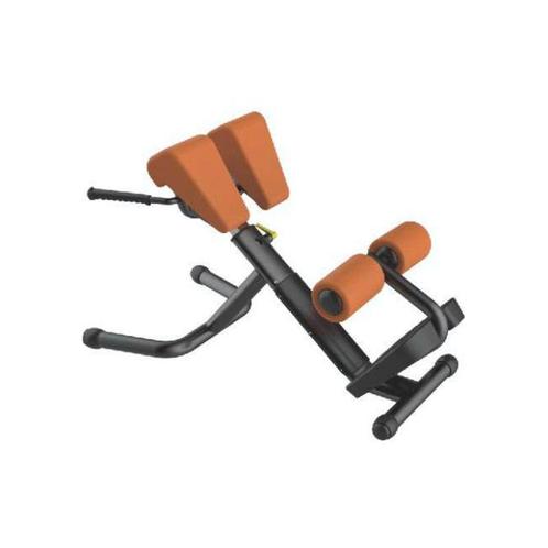 Xtreme Fitness Back Extension Rugtrainer - voor Gym PT Thuis, Sport en Fitness, Fitnessapparatuur, Krachtstation, Nieuw, Metaal