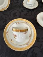 Royal Copenhagen - Luxus Kaffee-Service 8-9 Personen -, Antiek en Kunst