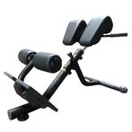 Technogym lower back bench | Hyper extension | Back extensio, Sports & Fitness, Équipement de fitness, Verzenden