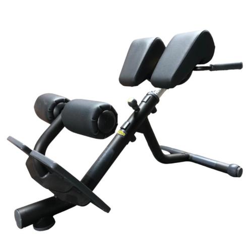 Technogym lower back bench | Hyper extension | Back extensio, Sports & Fitness, Équipement de fitness, Envoi