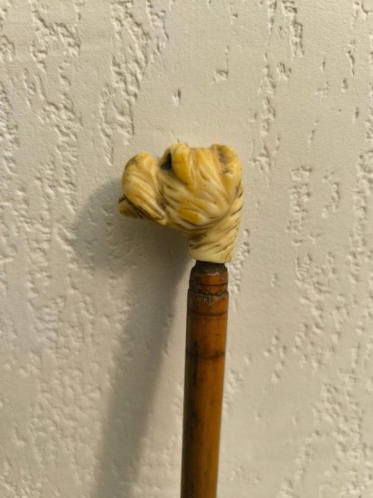 Staf - Hout, Antiek en Kunst, Antiek | Overige Antiek