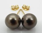 Zonder Minimumprijs - Tahitian Pearls, Rikitea Pearls,, Bijoux, Sacs & Beauté, Bijoux anciens