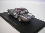 Spark 1:43 - Model raceauto - AC Ace Bristol #29 24h Le Mans