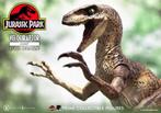 Jurassic Park Prime Collectibles Statue 1/10 Velociraptor Ju, Collections, Cinéma & Télévision, Ophalen of Verzenden