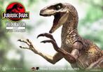 Jurassic Park Prime Collectibles Statue 1/10 Velociraptor Ju, Verzamelen, Ophalen of Verzenden, Nieuw