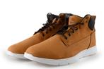 Timberland Hoge sneakers in maat 44 Cognac | 5% extra, Kleding | Heren, Schoenen, Overige kleuren, Verzenden, Timberland, Sneakers