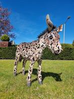 Figurine - Levensechte ezel - Fer, Métal, Antiek en Kunst