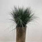 Palmvaas met kunstrietgras, hoogte 175 cm, Huis en Inrichting, Kamerplanten