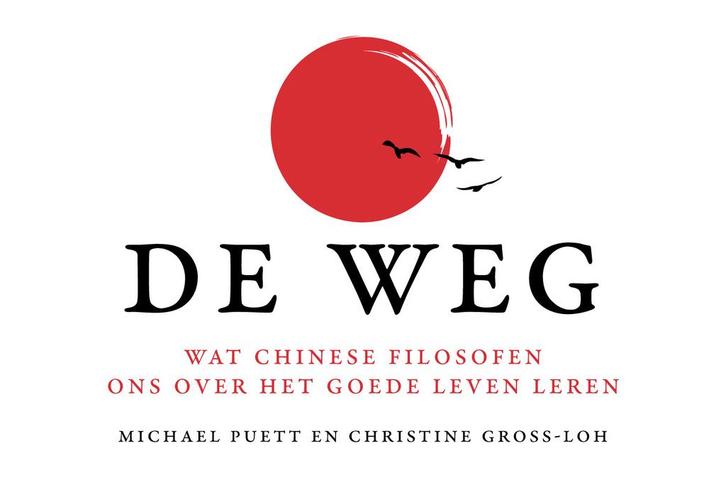 De weg / Dwarsligger / 452 9789049805579 Christine Gross-Loh, Livres, Philosophie, Envoi
