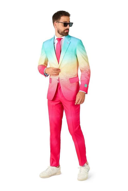 Regenboog Fuchsia Blauw Pak Heren OppoSuits, Vêtements | Hommes, Costumes de carnaval & Vêtements de fête, Envoi