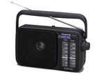 Veiling - Panasonic RF-2400DEG-K draagbare radio, Gebruikt