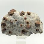 Veel almandijn robijnen, donkerrood, Alpini. Kristallen op