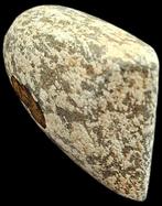 Neolithisch Vuursteen gepolijste bifacetische bijl uit het