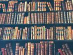 De geheime bibliotheek - Katoenen stof voor bekleding -, Antiek en Kunst
