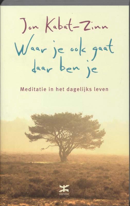 Waar je ook gaat, daar ben je 9789021545677 Jon Kabat-Zinn, Boeken, Filosofie, Zo goed als nieuw, Verzenden
