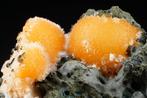 TOP MÉSOLITE avec THOMSONITE - gros spécimen de grande, Verzamelen, Mineralen en Fossielen
