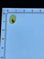Amber - Barnsteen - Cicadellidae, Burmese Amber, Insect, Verzamelen, Mineralen en Fossielen