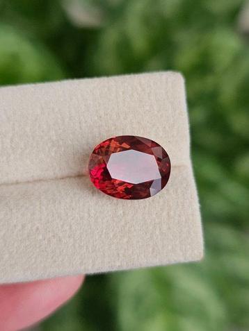 Oranje - 6.34 ct - nternational Colored Gemstone Association