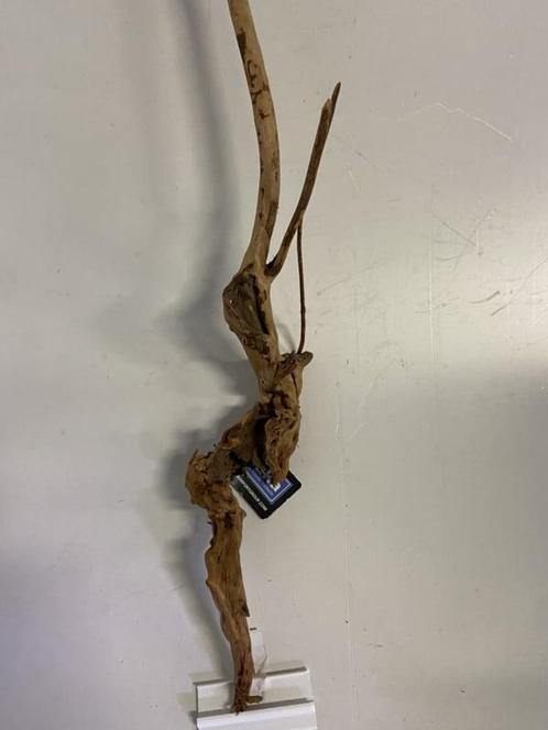 Boutique Stump Selected BS154 - 80x17x10cm (Natuurlijk hout), Dieren en Toebehoren, Vissen | Aquaria en Toebehoren, Plant(en), Steen of Hout