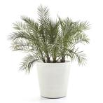NIEUW - Ecopots Amsterdam Wheels 80 cm witgrijs, Tuin en Terras, Bloempotten, Verzenden, Nieuw