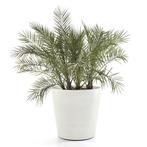 NIEUW - ECOPOTS Amsterdam op wielen witgrijs - 80 cm, Nieuw, Verzenden