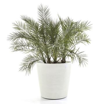 NIEUW - Ecopots Amsterdam Wheels 80 cm witgrijs, Verzenden