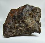 Meteoriet NWA 13790. Achondriet Winonaite. - 29.2 g - (1), Collections