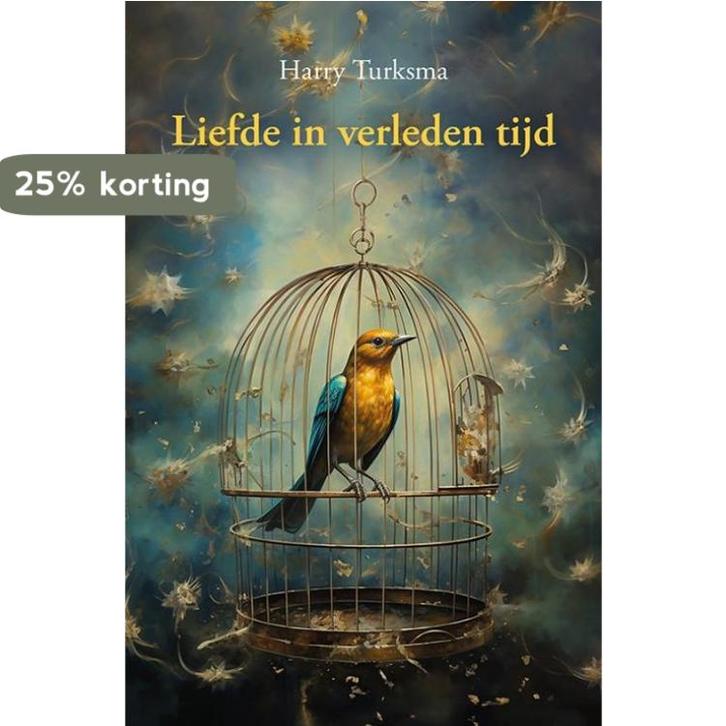 Liefde in verleden tijd 9789463655866 Harry Turksma, Boeken, Romans, Zo goed als nieuw, Verzenden