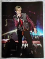 Massimo Barbaglia - David Bowie Milano 2003