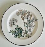 Villeroy & Boch - Assiette (6) - Botanica - Porcelaine, Antiquités & Art