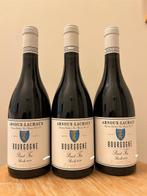 2019 Arnoux Lachaux, Bourgogne Pinot Fin - Bourgogne - 3, Verzamelen, Nieuw