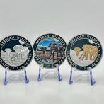 Somalie. 100 Shilling 2026 – African Wildlife Elephant – Set, Postzegels en Munten