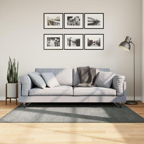 vidaXL Vloerkleed PAMPLONA shaggy hoogpolig modern 120x170, Huis en Inrichting, Stoffering | Tapijten en Vloerkleden, Nieuw, Verzenden