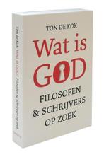 Wat is God? 9789068686333 Ton de Kok, Boeken, Verzenden, Gelezen, Ton de Kok