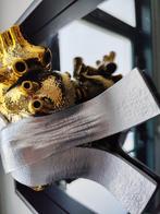 Sagrasse (1966) - Forever mine -Mirror