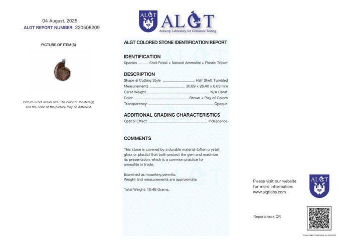 Geen veilingreserve - ALGT-gecertificeerd - Grote en Zeer, Verzamelen, Mineralen en Fossielen
