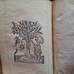 Nuovo Testamento - Epistola di Pietro. in Greco. - 1549, Antiek en Kunst