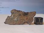 NWA 17700 - maanmeteoriet (troctoliet smeltbreccie) - dunne