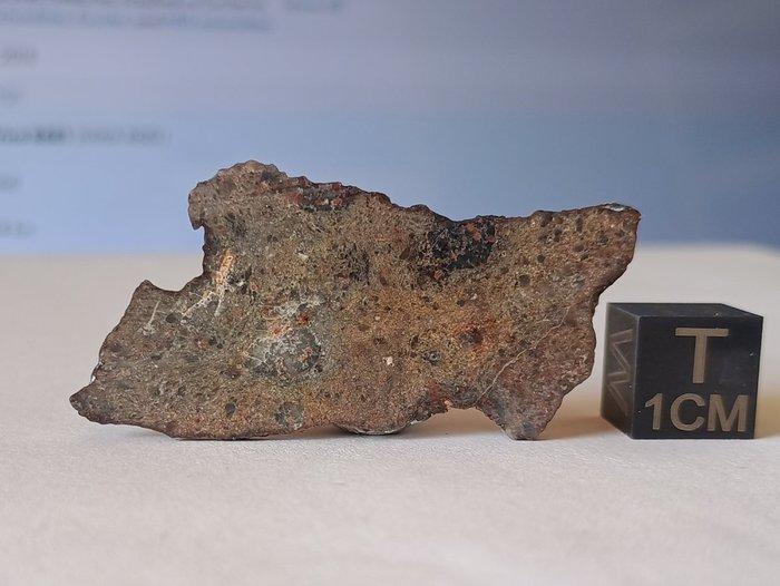 NWA 17700 - maanmeteoriet (troctoliet smeltbreccie) - dunne, Verzamelen, Mineralen en Fossielen
