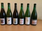 Cantillon - Lamvinus 2023, Vigneronne 2023, Nath 2023, Iris, Verzamelen, Nieuw