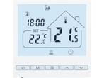 Veiling - BEOK CONTROLS Digitale thermostaat, Nieuw